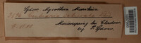 Image Associated With the Occurence